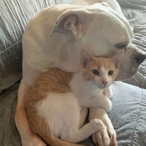 Meet your Posher, Terrence